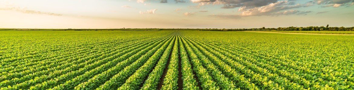 Newsletter-Field-Banner.jpg